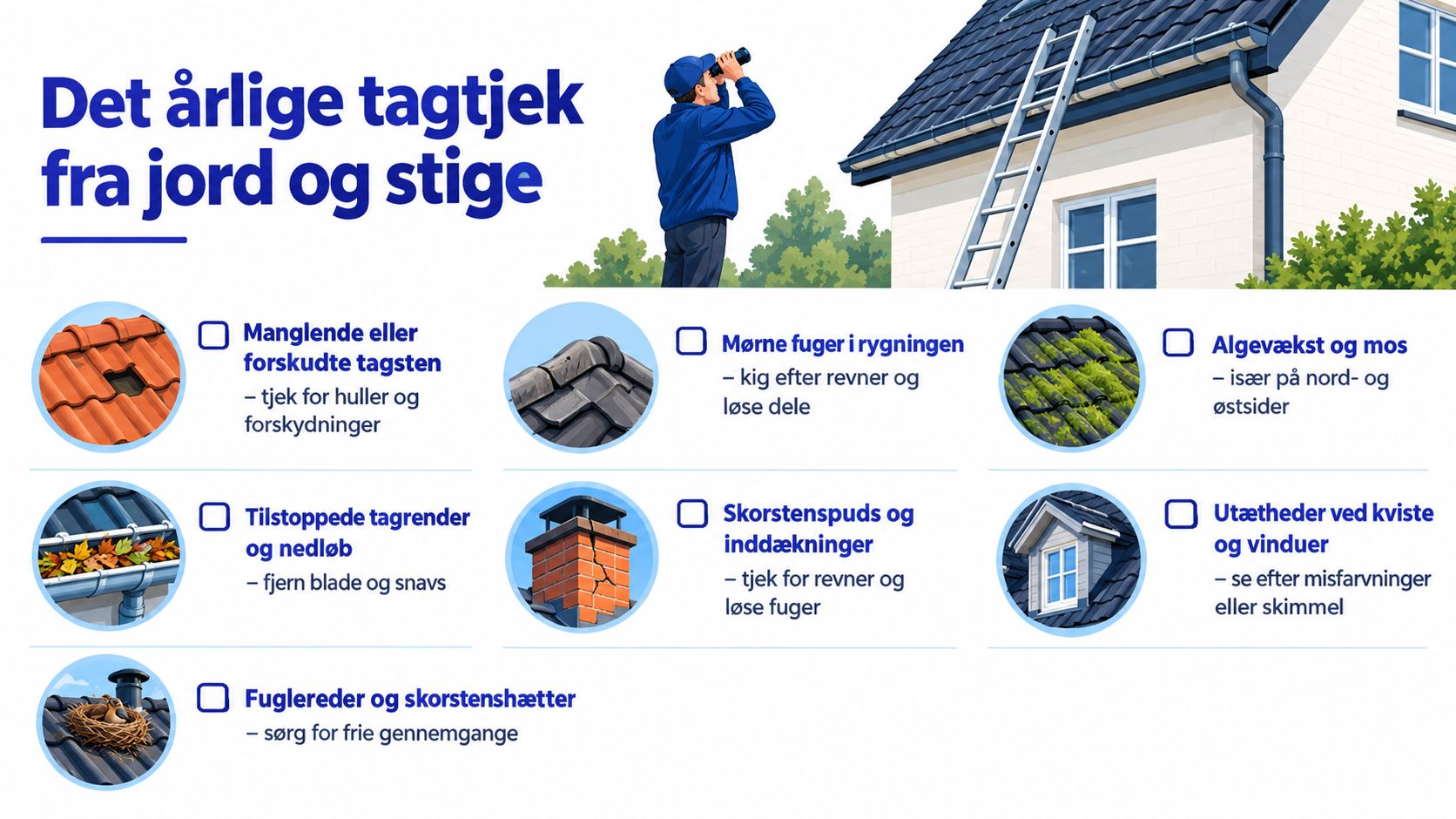 En guide til årligt tjek af tag, der viser vigtige områder som tagsten, tagrender og skorsten.